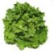 Salata de pui pane
